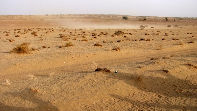 Dürre in Indien